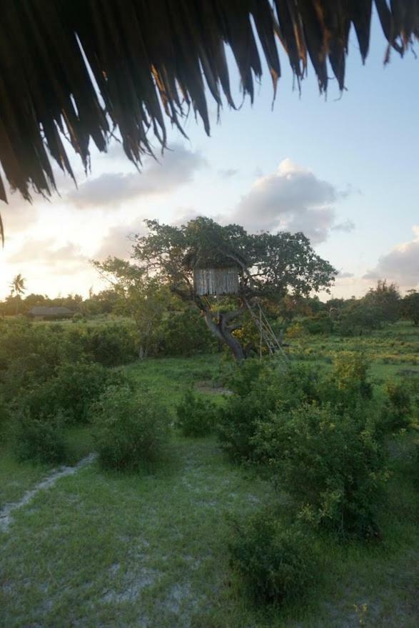 Mida Creek Nature Camp Ватаму Екстериор снимка