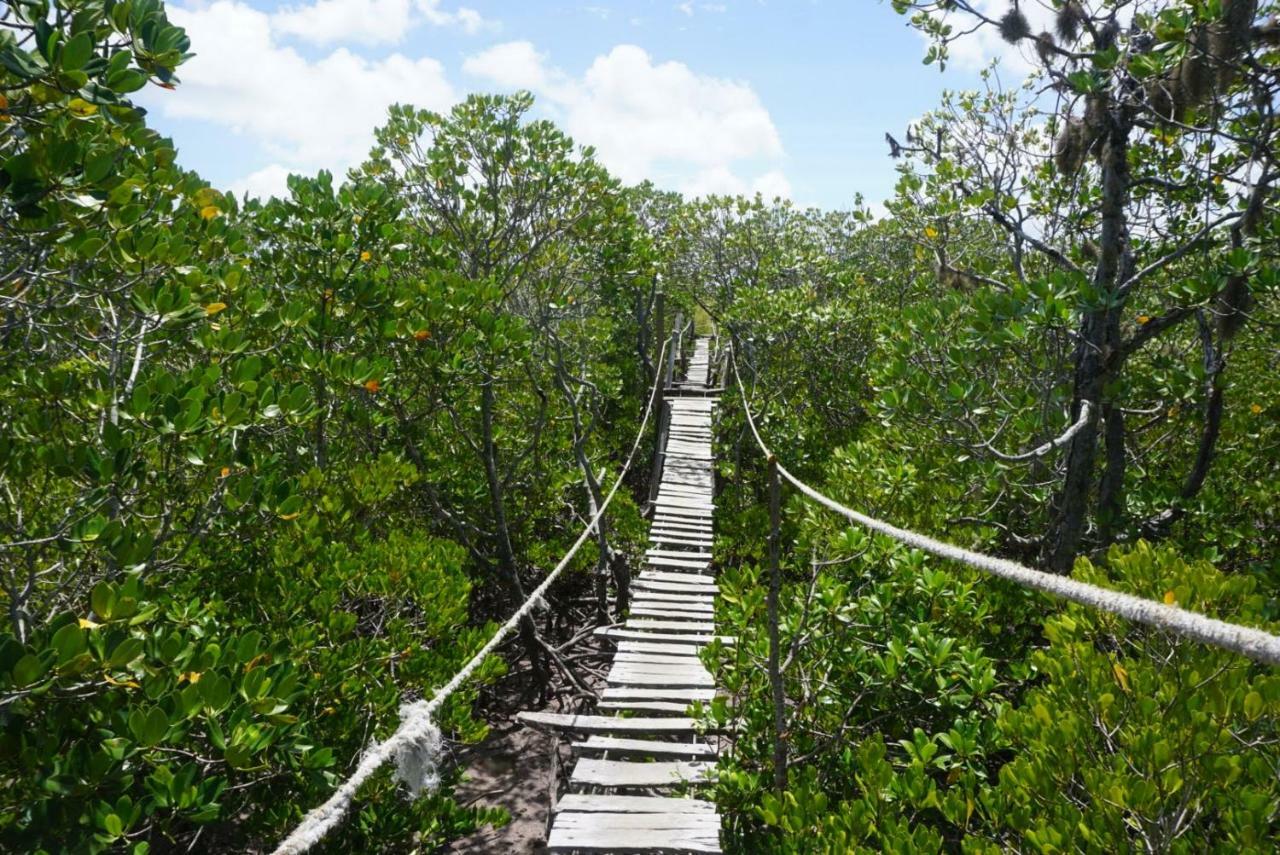 Mida Creek Nature Camp Ватаму Екстериор снимка