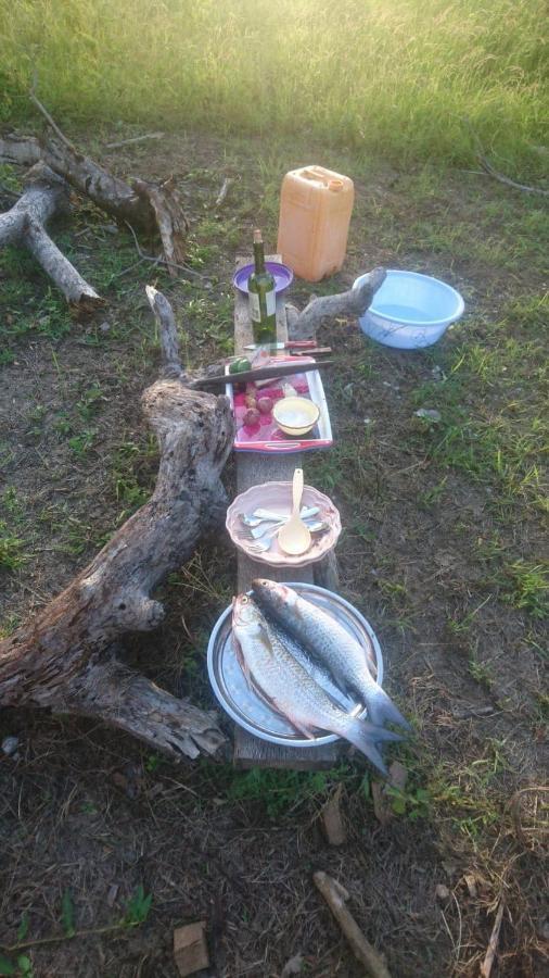 Mida Creek Nature Camp Ватаму Екстериор снимка