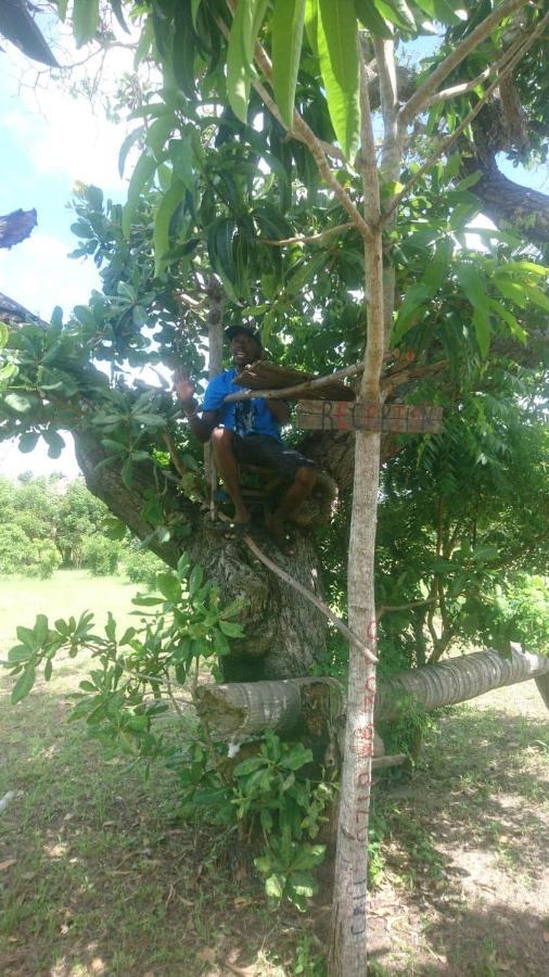 Mida Creek Nature Camp Ватаму Екстериор снимка