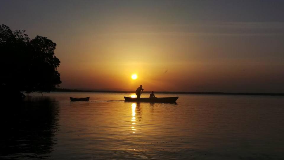 Mida Creek Nature Camp Ватаму Екстериор снимка